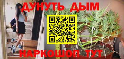 PSILOCYBIN Кулебаки