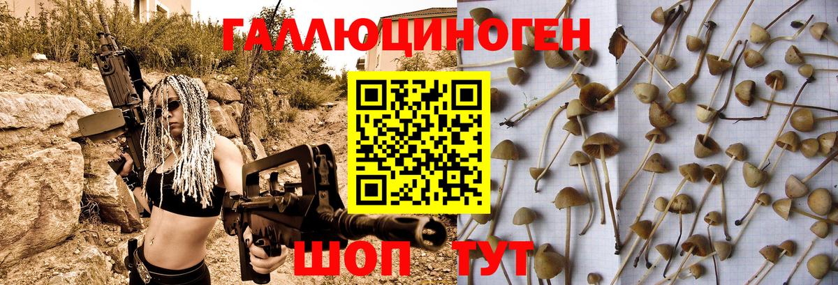 Псилоцибиновые грибы мицелий Каспийск